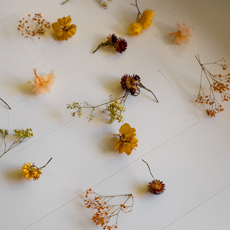 Guirlande de fleurs séchées