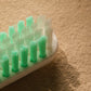 Têtes de brosse à dents rechargeables